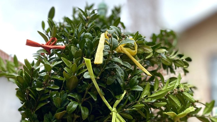 Geschmückter Palmstock für Palmsonntag