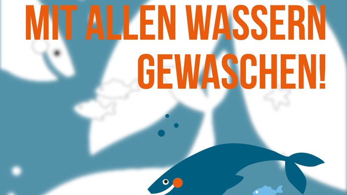 Plakat für ein Tauffest in Neuwied mit Fisch- und Wassermotiven, geplant am 28. Juni 2026.
