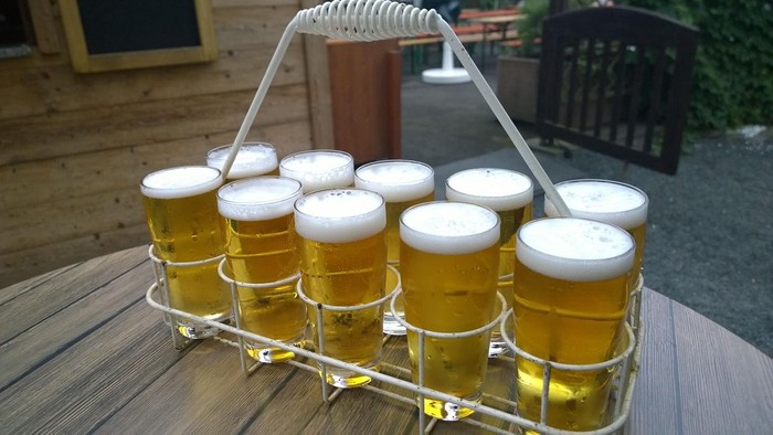 Ein Tablett mit acht gefüllten Biergläsern auf einem Holztisch.