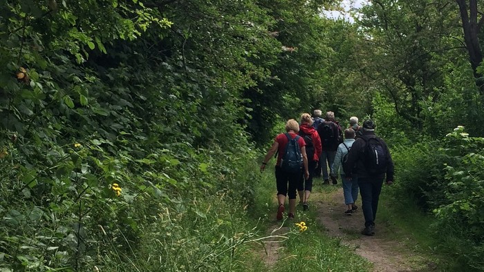 En gruppe af turister går i skoven.
