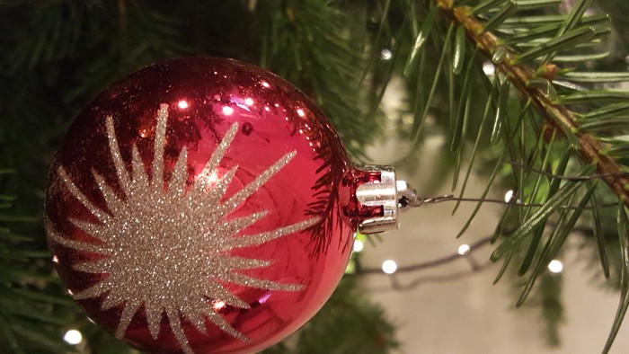 En rød glitrende julekugle hænger på en grøn nøddepalme.