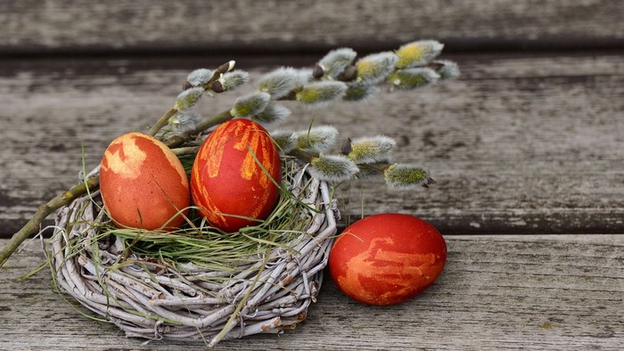 Ostereier in einem Osternest aus Weidengeflecht
