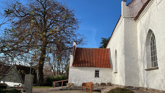 Hvid kirke med rødt tag og stort træ ved siden af