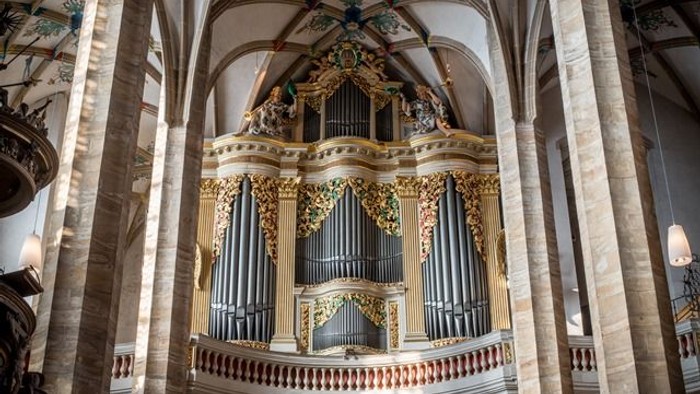 Die Große SIlbermann-Orgel von 1714 im Freiberger Dom