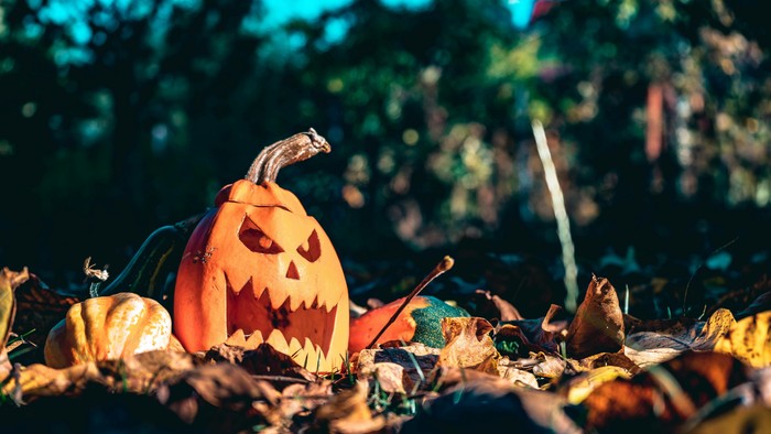 En glade pumpke med udhugget ansigt sidder på en bælte af løv.