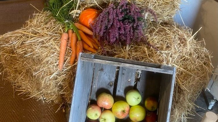 Friskhøstede æbler, gulerødder og rødkål arrangeret på halm i en trækasse.