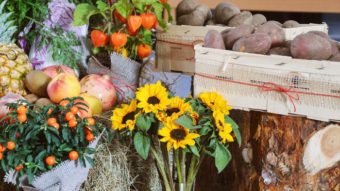 Das Bild zeigt Kartoffel, Obst und Sonnenblumen.