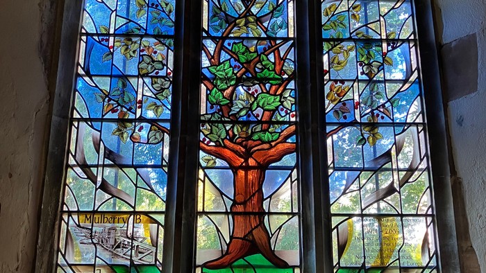 Stained glass window with tree design in building.
