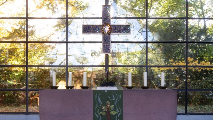 Modernes Zimmer mit großen Fenstern, rosafarbenem Sofa und grüner Kunst