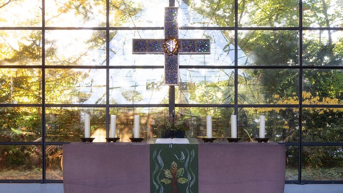 Modernes Zimmer mit großen Fenstern, rosafarbenem Sofa und grüner Kunst