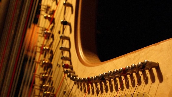 Nahaufnahme der polierten Saiten und des filigranen Hebelmechanismus einer Harfe.