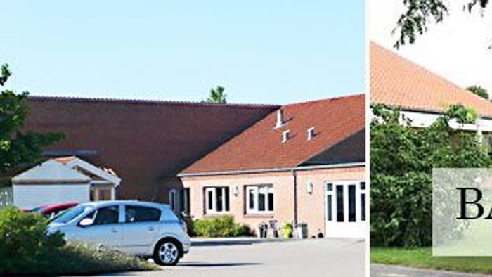 Billeder af en dansk boligområde med flag, huse, bil og blomster.