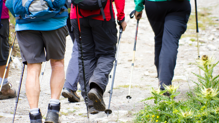 En gruppe vandrere med rygsække og vandrestave, der går ad en naturlig sti.