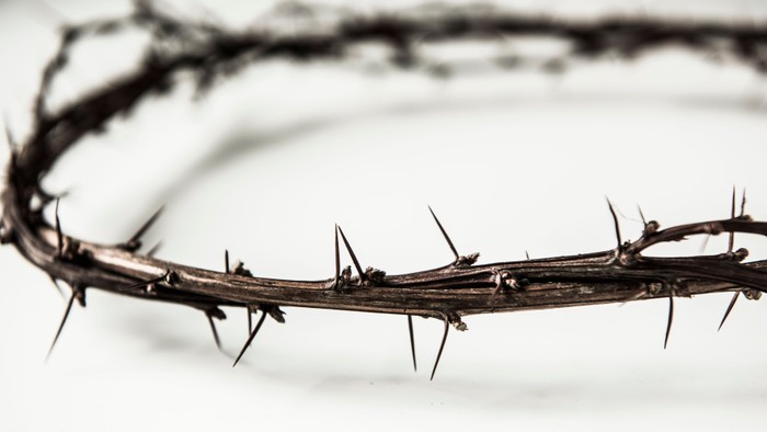 Et nærbillede af en tornet tornekrone, der symboliserer historisk religiøs betydning.