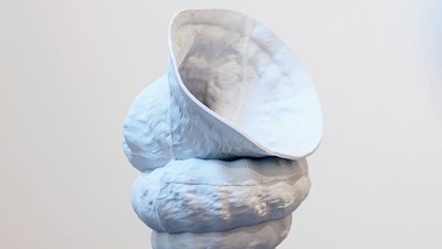 Abstrakte skulpturale Form, die einem stilisierten, texturierten menschlichen Torso mit übertriebenen, fließenden Kurven ähnelt.