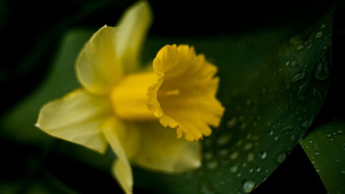 Fra Folkekirkens intranet