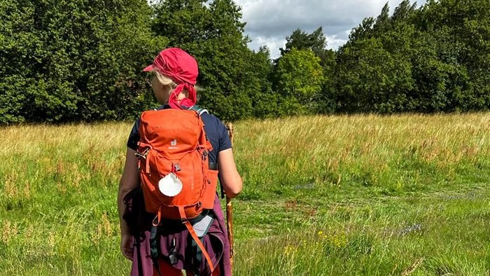 Person mit Rucksack geht durch hohes Gras.