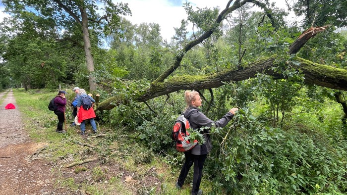 Achtsamkeit auf dem Pilgerweg