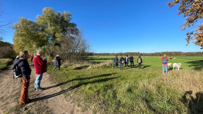 Ein Gruppe von Menschen spaziert auf einem Feldweg durch eine grüne Landschaft.