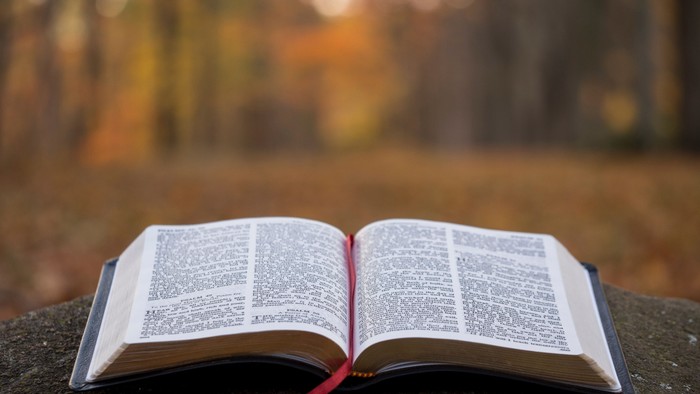 Open book with red ribbon on stone surface, autumn foliage background