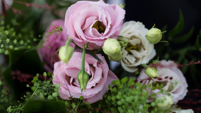 Elegant buket med bløde lyserøde og hvide roser med grønt løv og knopper.