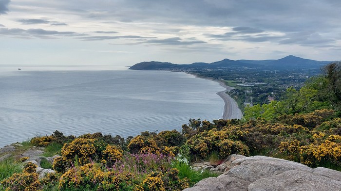 Küstenlandschaft mit Felsen und gelben Blumen unter bewölktem Himmel