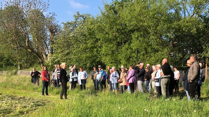 En gruppe af mennesker står i en grøn og åben naturlig sted.