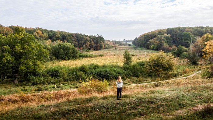 En ensom person står eftertænksomt på en græsklædt bakkeside omgivet af efterårsagtig skov.