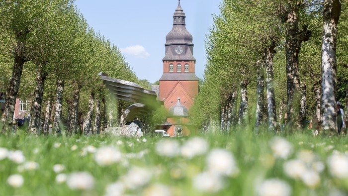 Im Vordergrund blühende Wiesen, im Hintergrund ein rotes Ziegelturm mit Uhr und spitzem Dach.