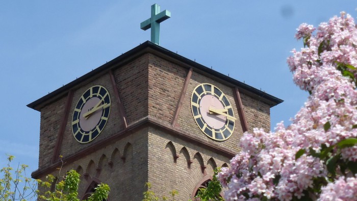 Ein Kirchturm mit Uhr und Kreuz, umgeben von blühenden Kirschblüten