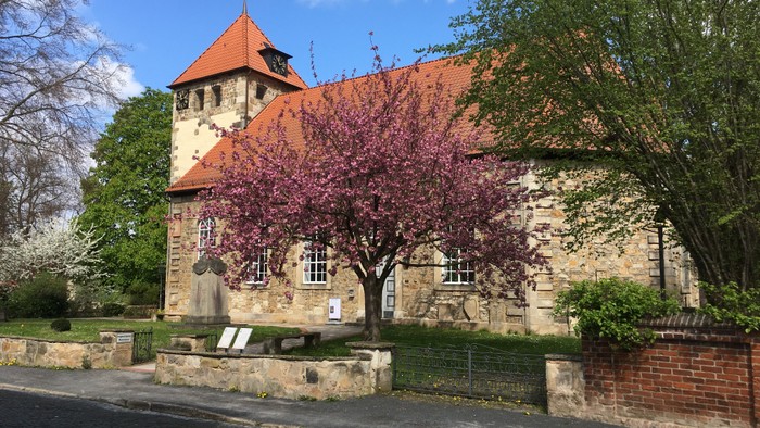 Altes Steinhaus mit rotem Dach und blühendem Baum davor