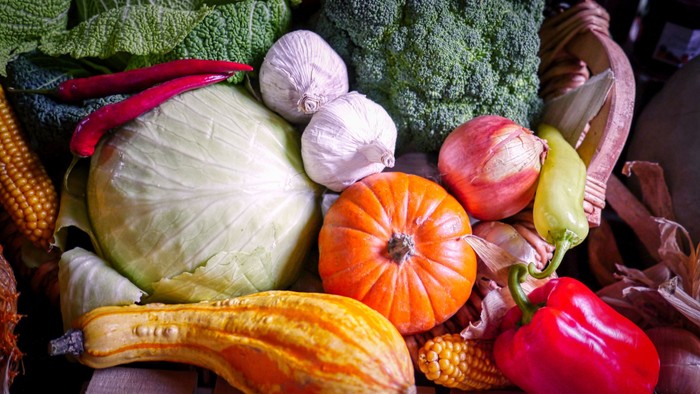 Bunte Auswahl an frischem Gemüse, darunter Kürbis, Kohl, Paprika, Mais, Brokkoli und ein orangefarbener Kürbis.