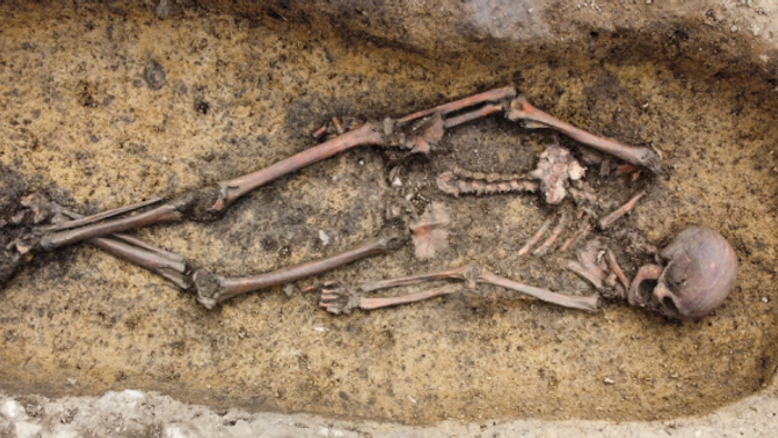 Skelet i udgravning