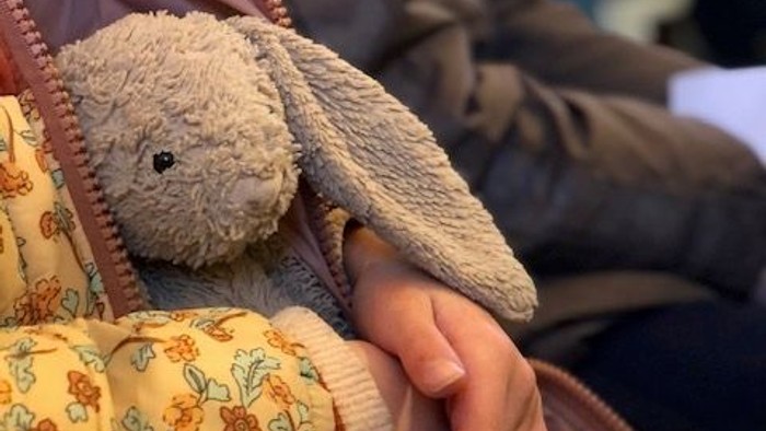 Børn holdes i armene om en lille grå kanin.