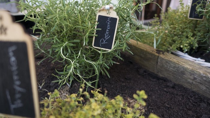 Bio-Kräutergarten mit beschriftetem Rosmarin und anderen Pflanzen in hölzernen Hochbeeten.
