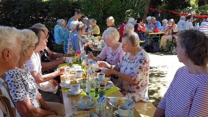 Senioren sitzen bei einem Picknick im Freien an Tischen mit Essen und Getränken.