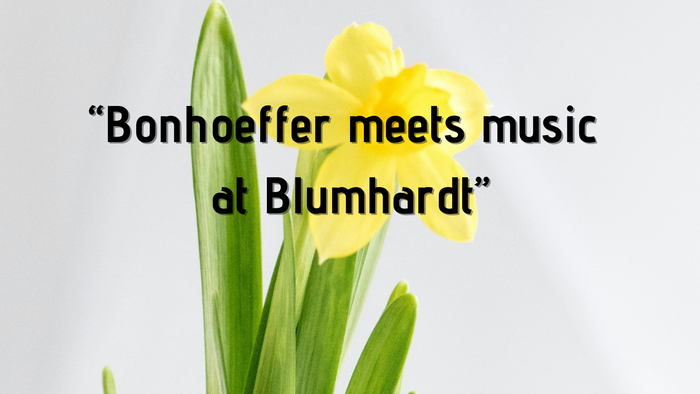 Einzelne Narzisse mit Konzerttitel 