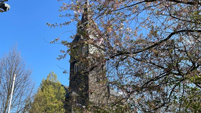 Bewölkter Himmel mit Bäumen und Turm