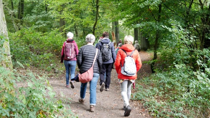 Menschen laufen einen Weg durch einen Wald