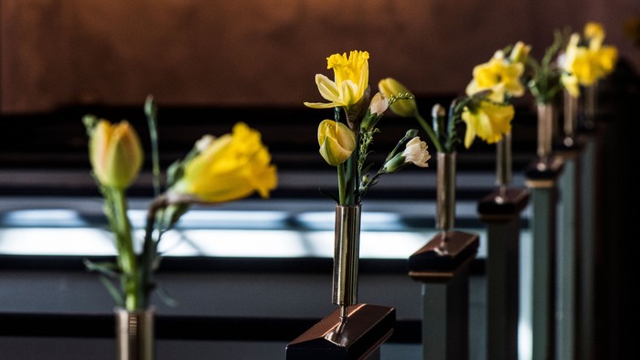 Elegante gule blomster arrangeret i slanke, moderne glasvaser på et mørkt bord.