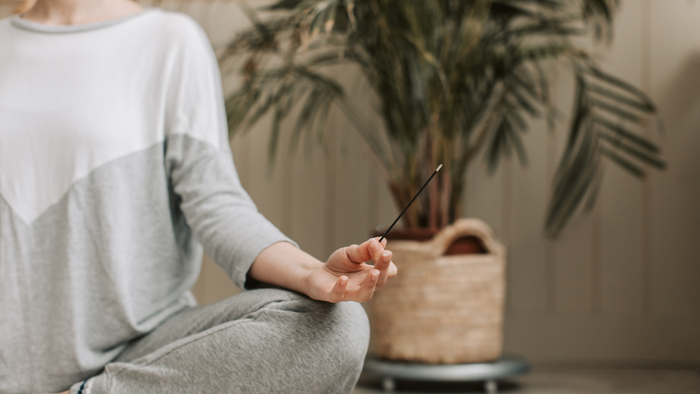 En person med hånd i hånd med en stikke og en plante bagved.