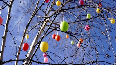 Bunte Luftballons, die zwischen kahlen Baumästen vor einem klaren blauen Himmel aufgereiht sind.