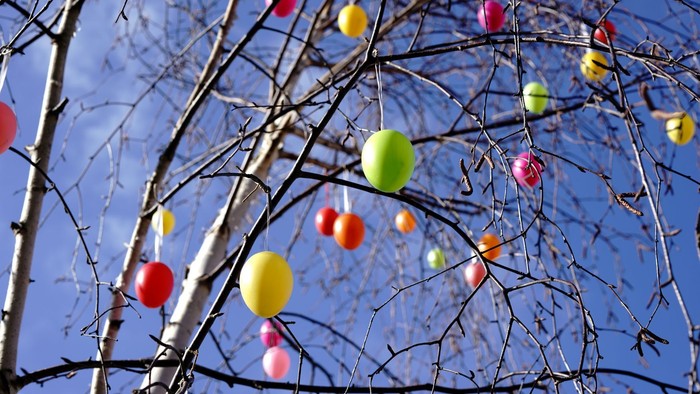 Bunte Luftballons, die zwischen kahlen Baumästen vor einem klaren blauen Himmel aufgereiht sind.