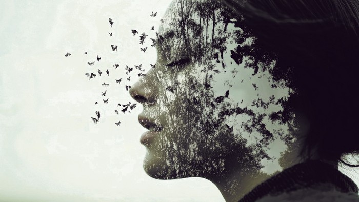 Künstlerische Doppelbelichtung: Das Profil eines menschlichen Gesichts vor hellem Hintergrund, überlagert von dunklen Baum- und Waldstrukturen. Aus dem Mundbereich lösen sich zahlreiche kleine, dunkle Schmetterlinge, die nach links in den offenen Raum fli