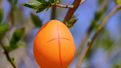 Ein reifer Orangen an einem Baumzweig mit grünen Blättern