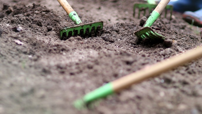 Menschen rechen den Boden für die Aussaat