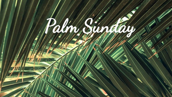 Close-up of palm leaves with text