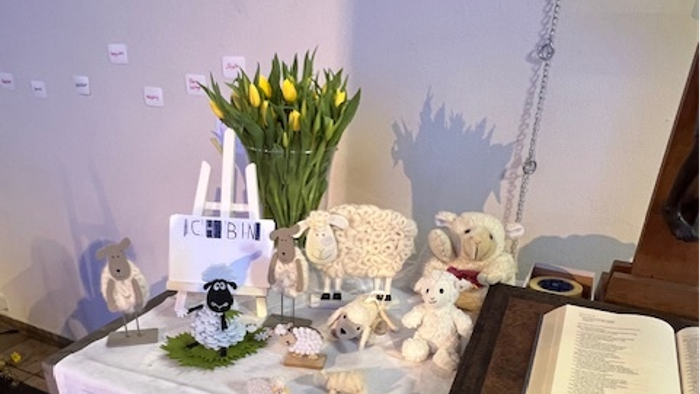 Die linke Seite eines Altares auf dem viele kleine Schafe in verschiedenen Größen und aus verschiedenen Materialen stehen. Dahinter ein Strauß gelber Tulpen, deren Blütenkelche noch geschlossen sind. Rechts am Rand ein Auschnitt des Altarkreuzes, davor di