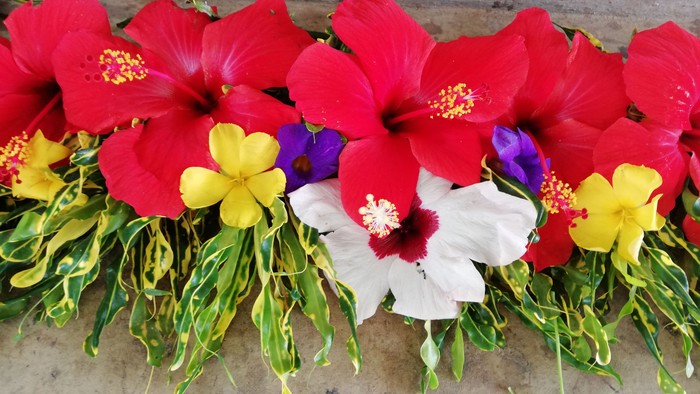 Bunte Blumenarrangement mit roten, gelben und weißen Blumen