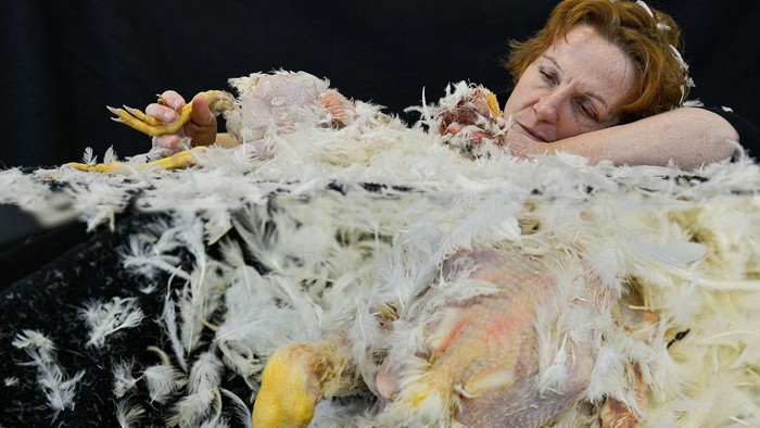 Eine Person ruht auf einem Haufen Federn, in der Nähe liegt ein Hühnerkadaver.